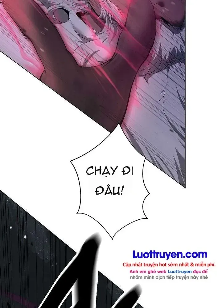 Xuyên Không Thành Hổ Chương 243 Ảnh 105